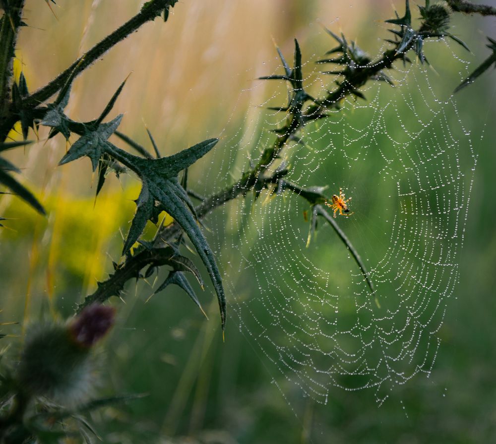 Photograph by Vitalii Kaznin