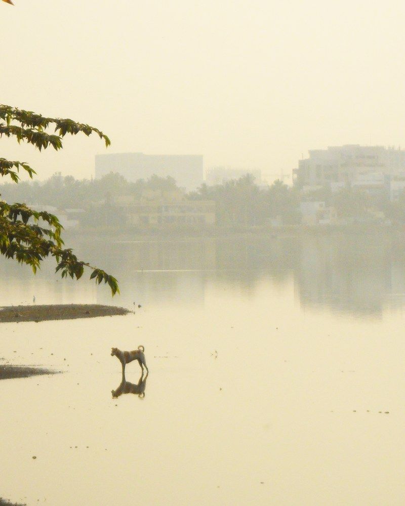 Photograph by Udhayakumar Saravanan