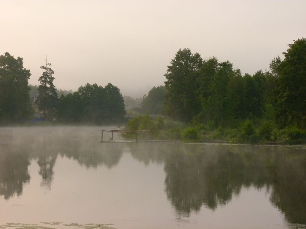 Утро туманное. Тишина