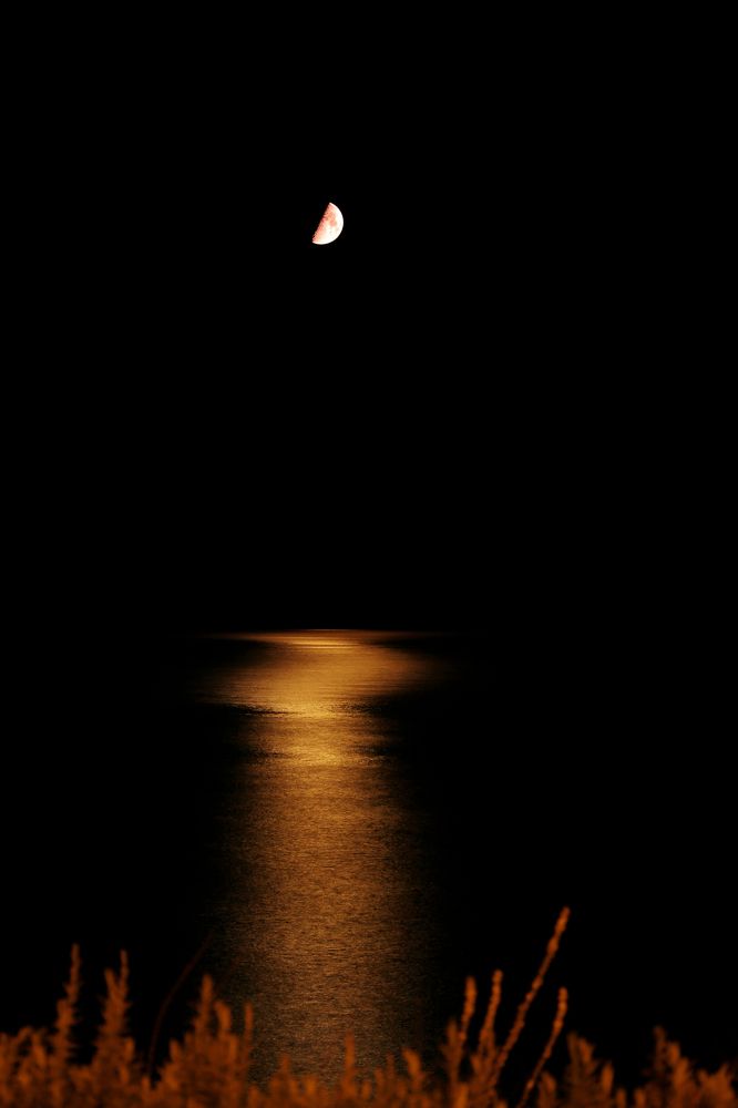 Photograph by Giga Kokoladze