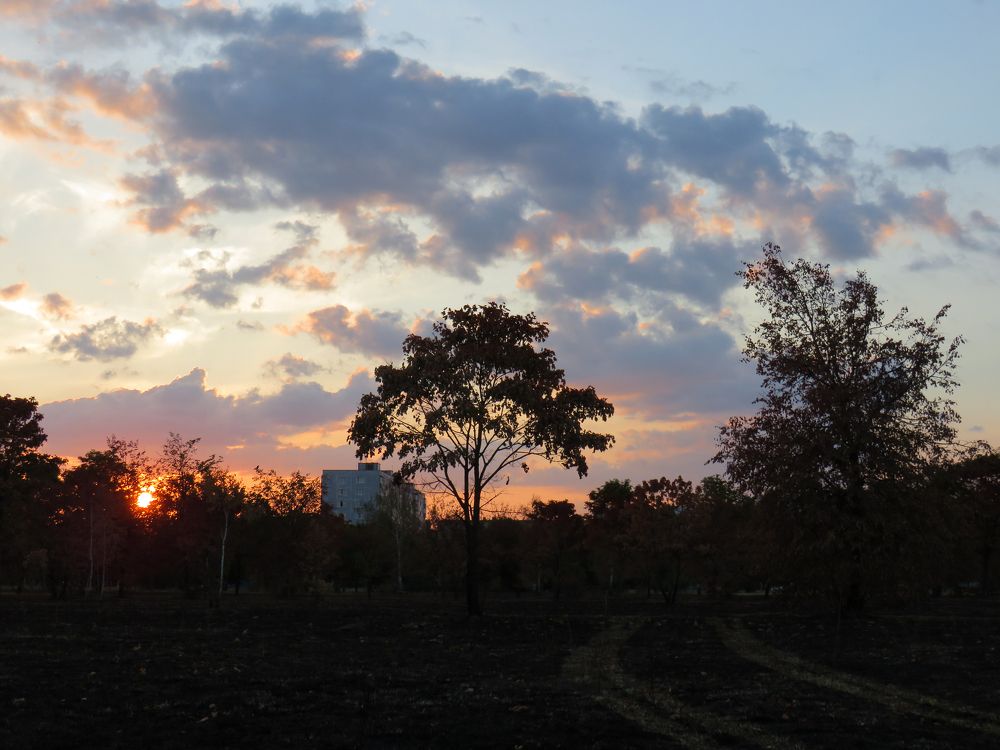 Orange sunset and dark clouds on the sky in the city park