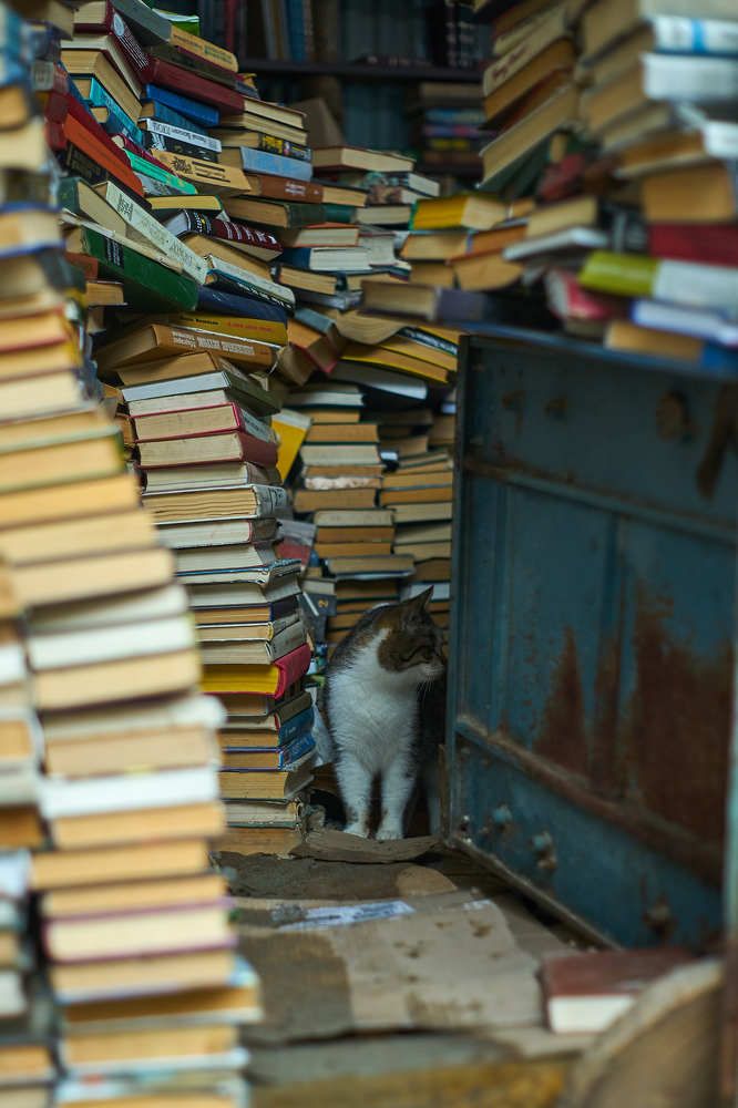 Photograph by Виктория