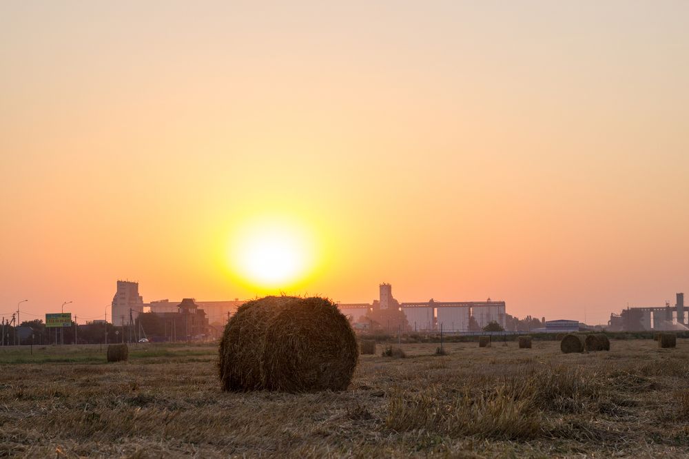 Photograph by Александр Редько