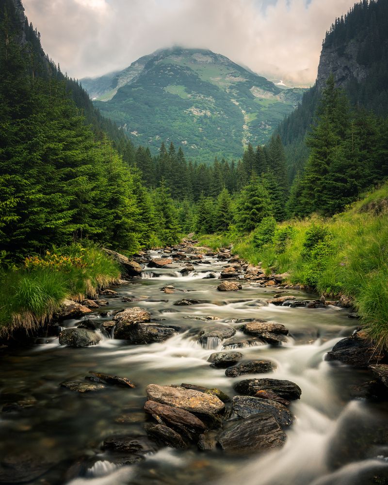 Фотография автора Bogdan Barbulescu