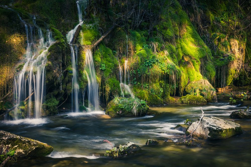 Photograph by Bogdan Barbulescu