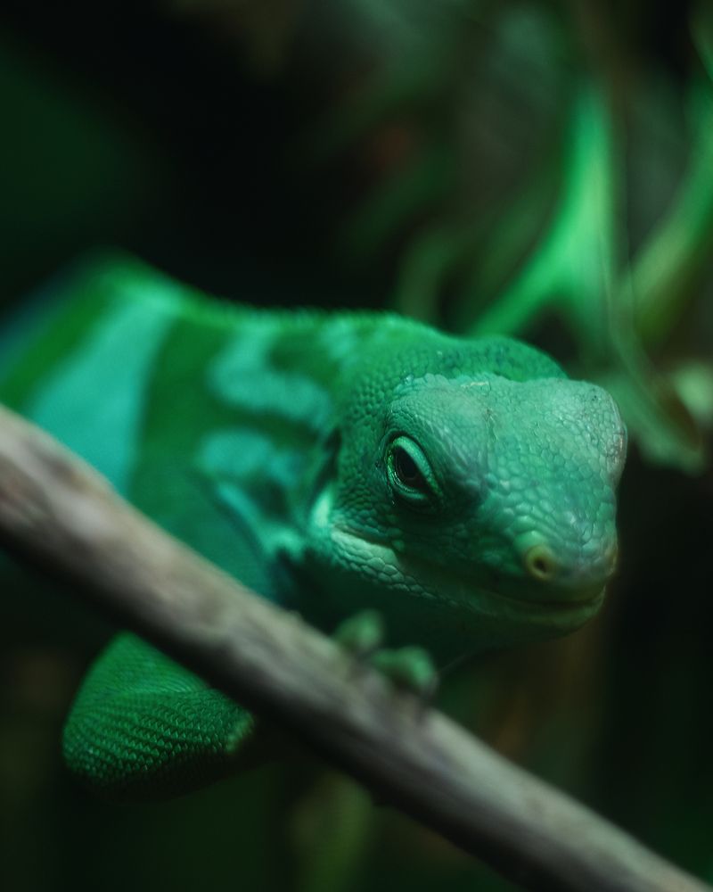 Photograph by Александр Гамалеев