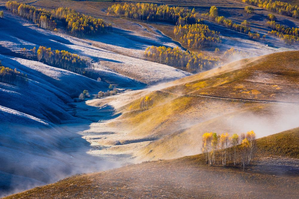Фотография автора Bogdan Barbulescu