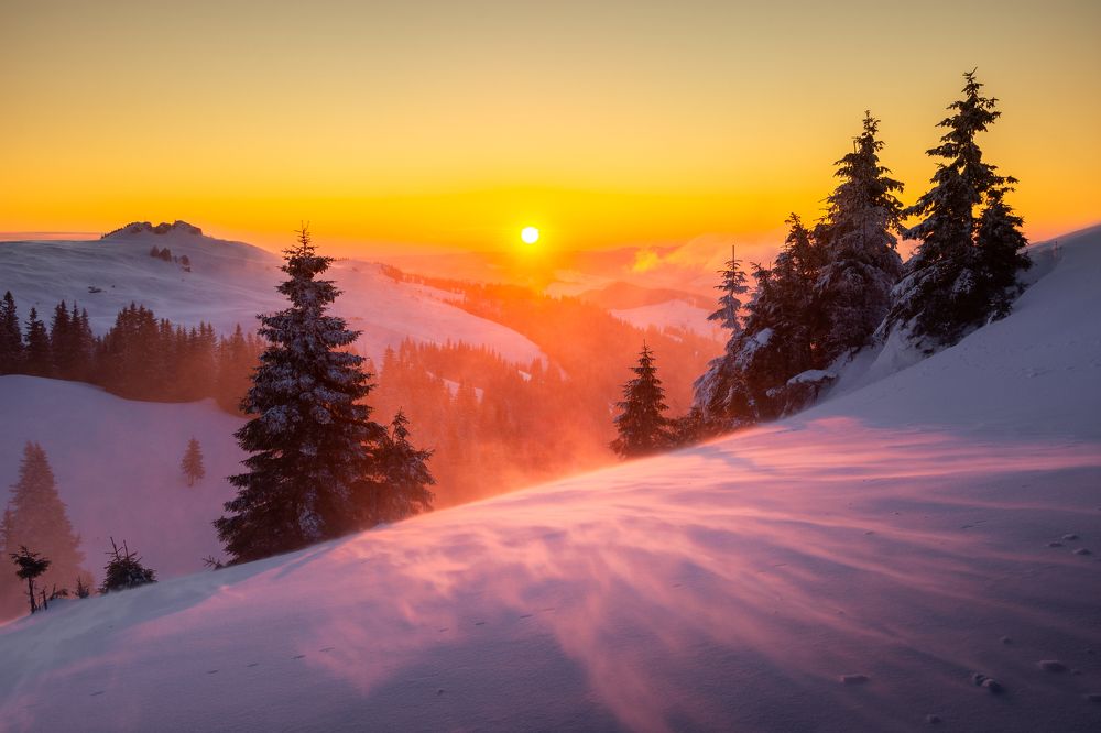 Photograph by Bogdan Barbulescu