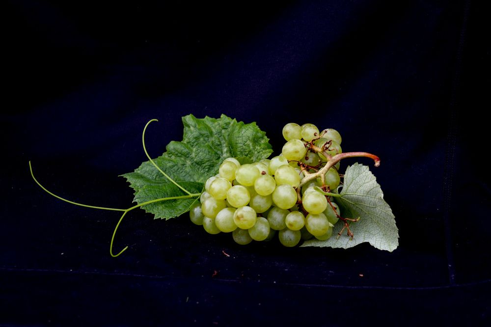 Photograph by Светлана Лебедева