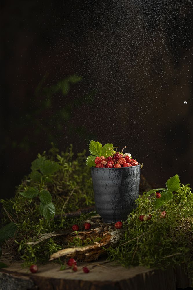 Photograph by Diana Sklarova