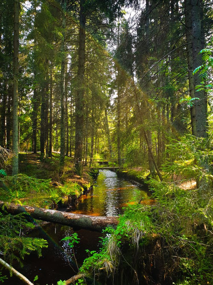 Photograph by Юлия Бирюкова