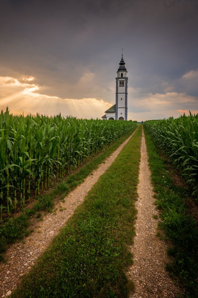 Photograph by Alain Veldin