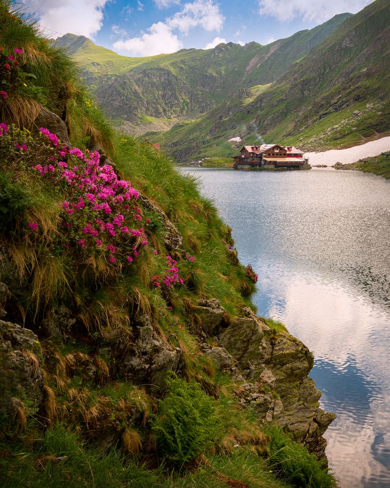 Фотография автора Bogdan Barbulescu