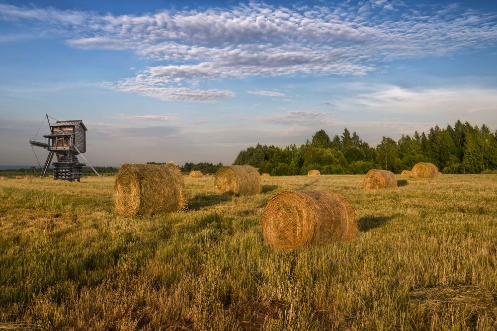 Photograph by Марина Ческис