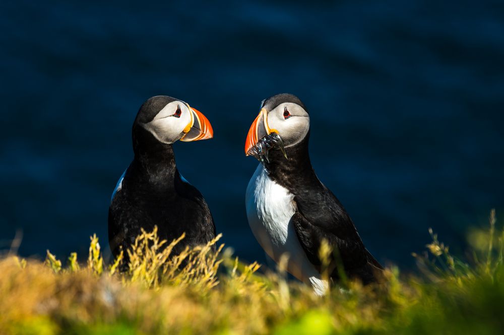 Photograph by Agnieszka Wieczorek