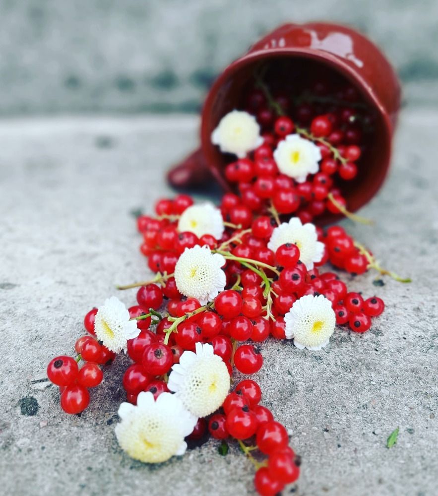 Photograph by Татьяна Чершнева