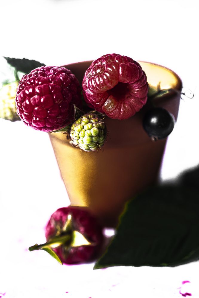 Райская ягода