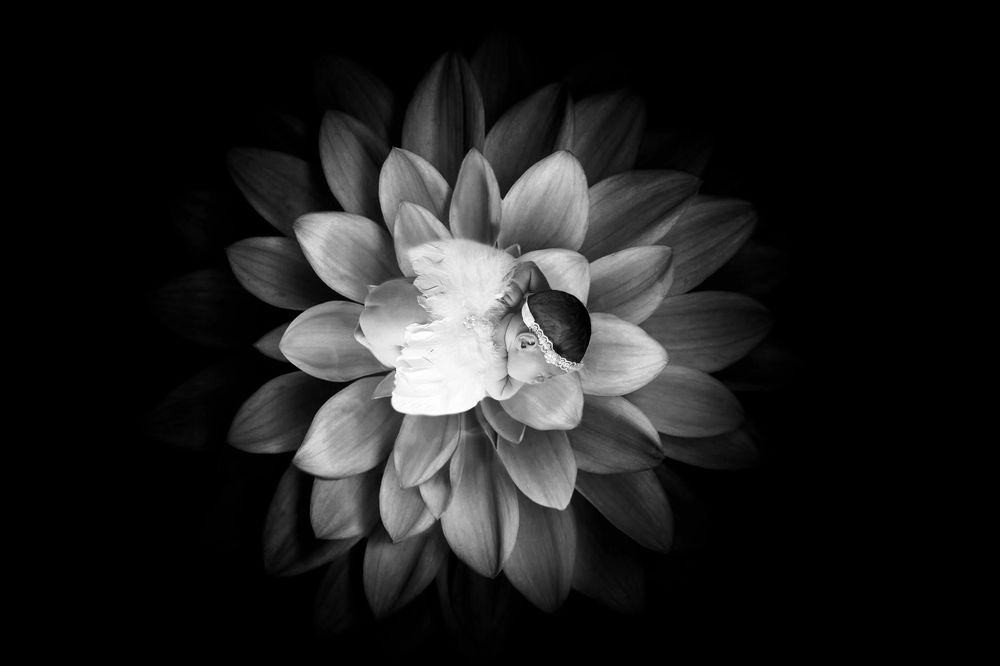 Photograph by Дарья Павленко