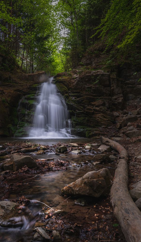 Photograph by Dariusz Budyta