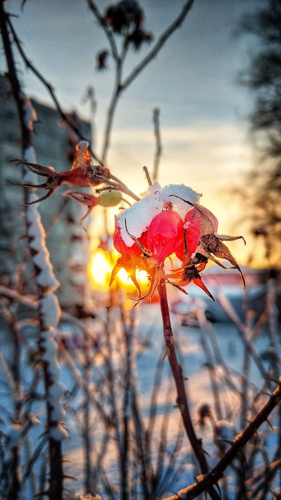 Photograph by Шамшин Александр