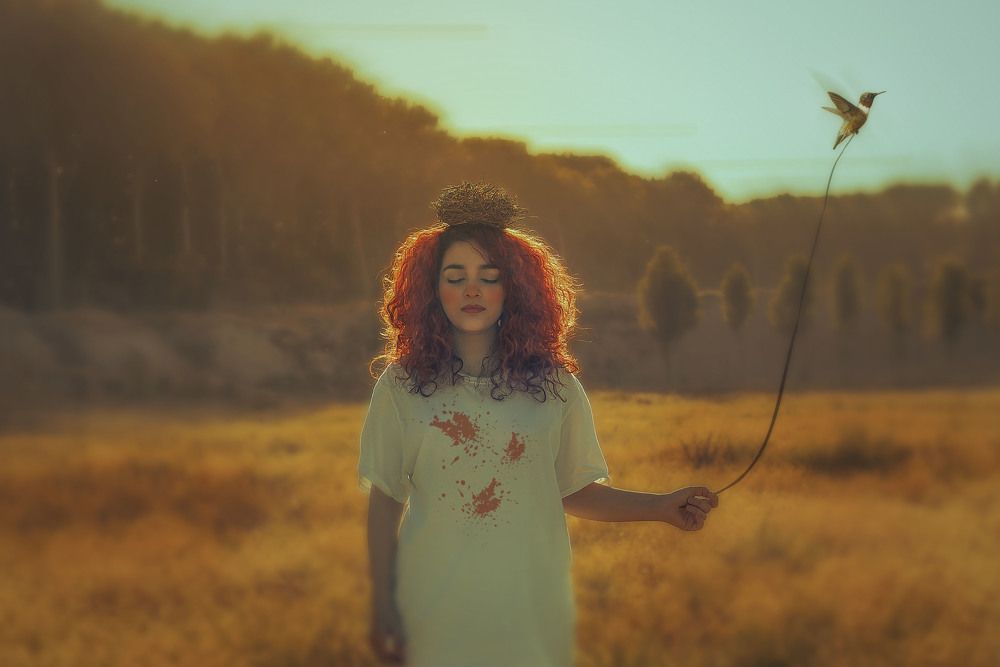 Photograph by Sina julaee