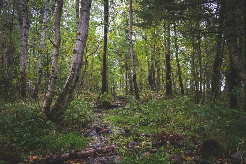 Каменный ручей.