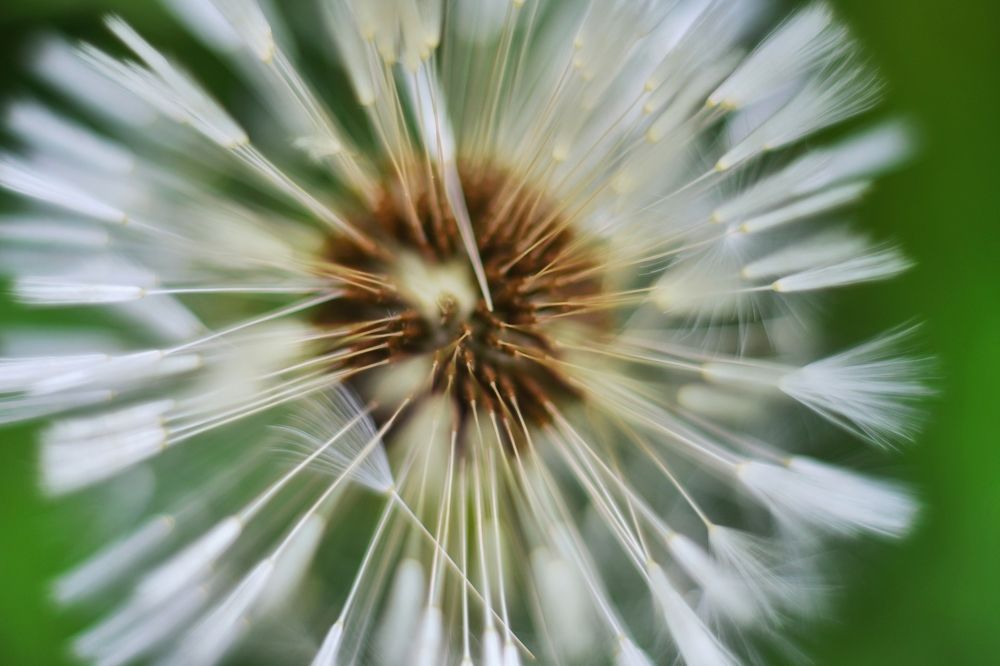 Photograph by Нина Писклова