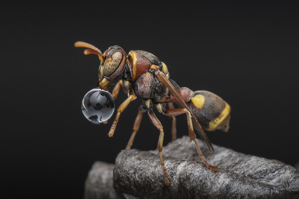 Photograph by Ng Max