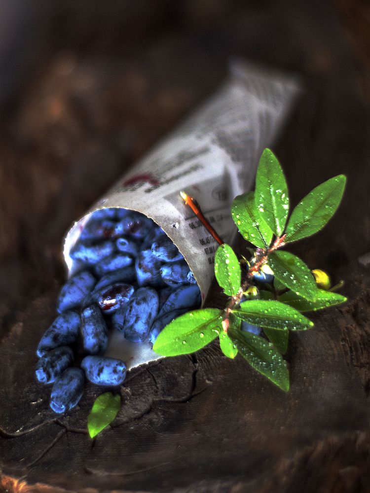 Photograph by Olga Rogozina