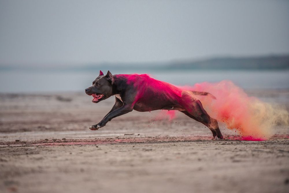 Photograph by Виола Поликарпова