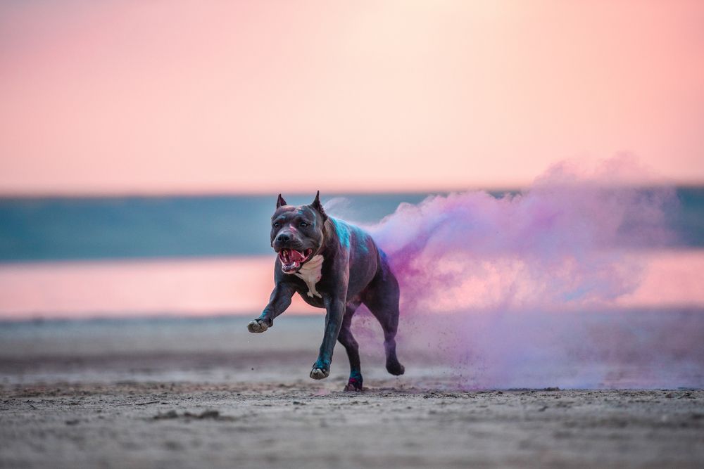 Photograph by Виола Поликарпова