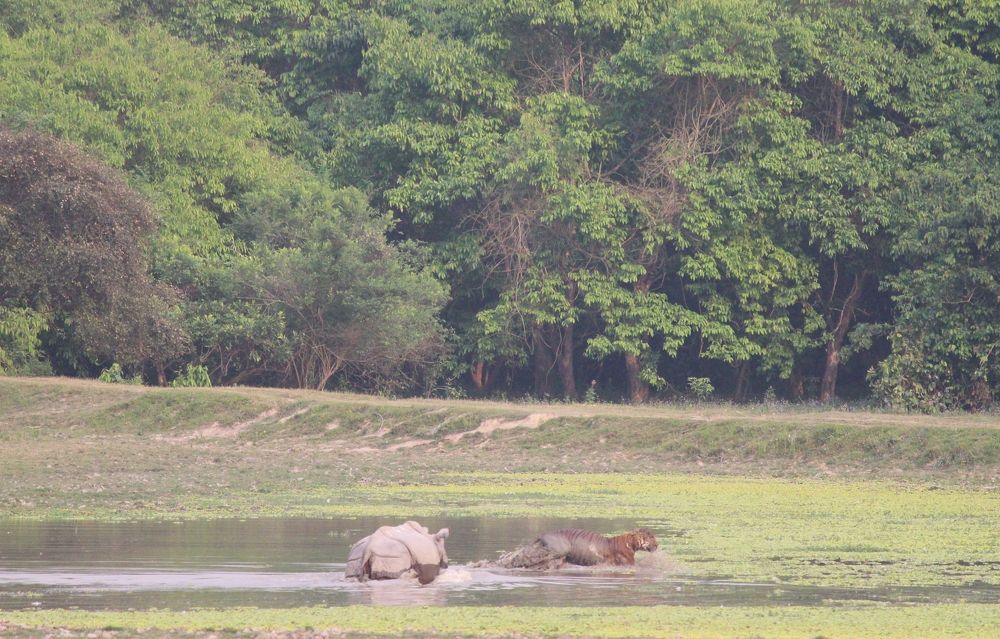 Photograph by Kaziranga Chetry