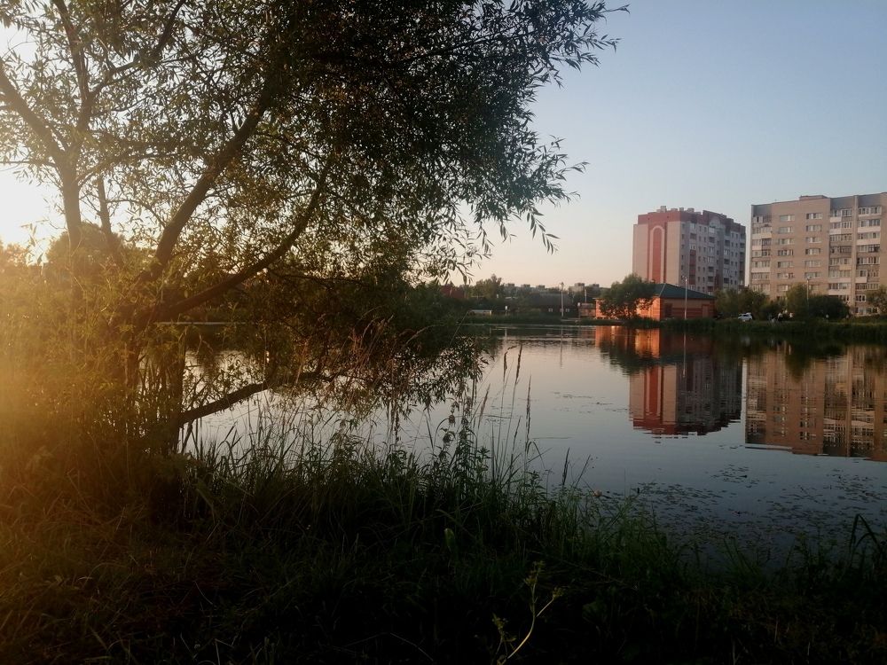 Photograph by Елена Сологубова