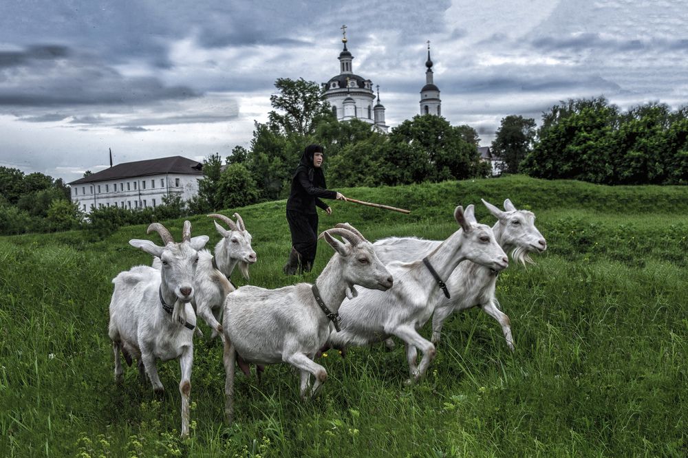 Photograph by Vitaly  Podgurchenko