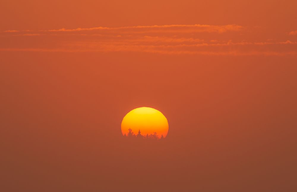 Photograph by Элвис Антсон