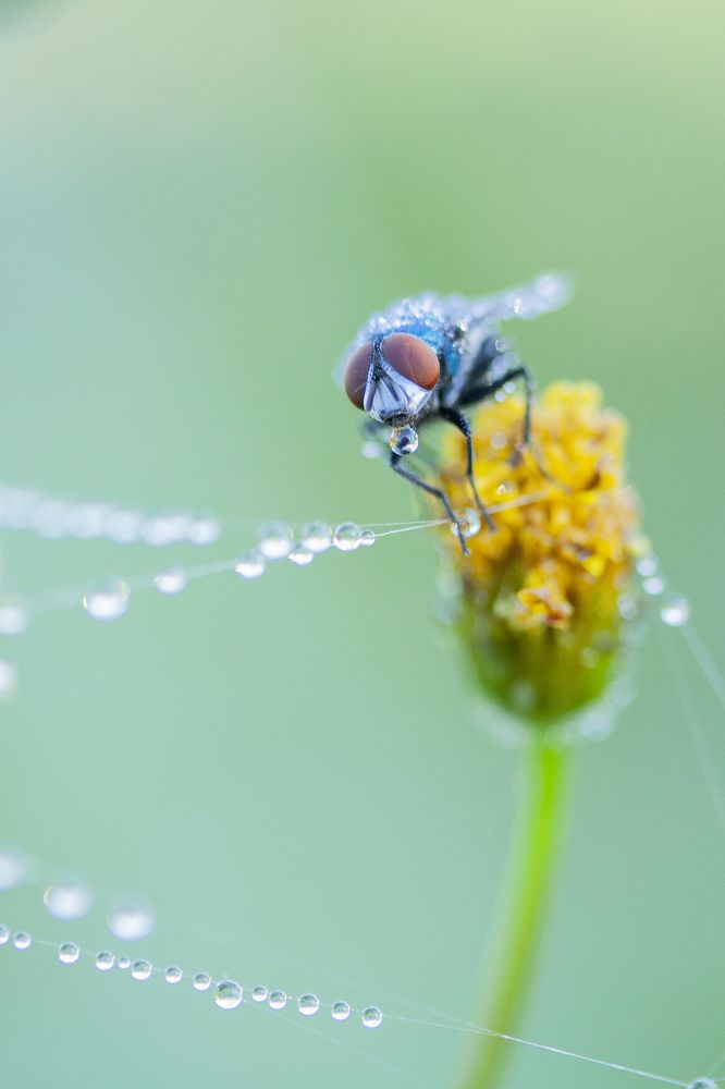 Photograph by Michelle Burge