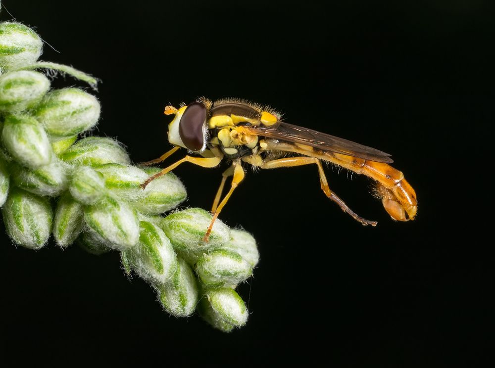 Photograph by Владимир Богданов