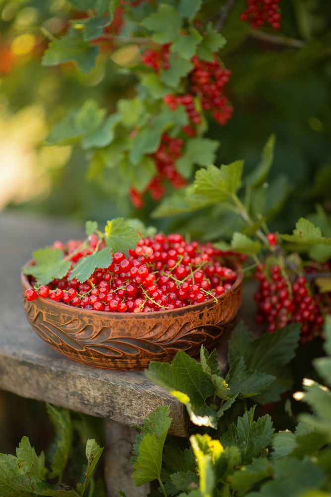 Photograph by Елена Косинова