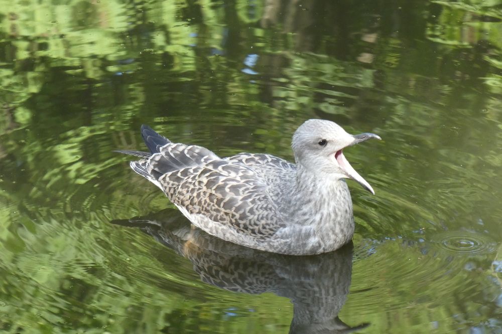Photograph by Алексей Семкин