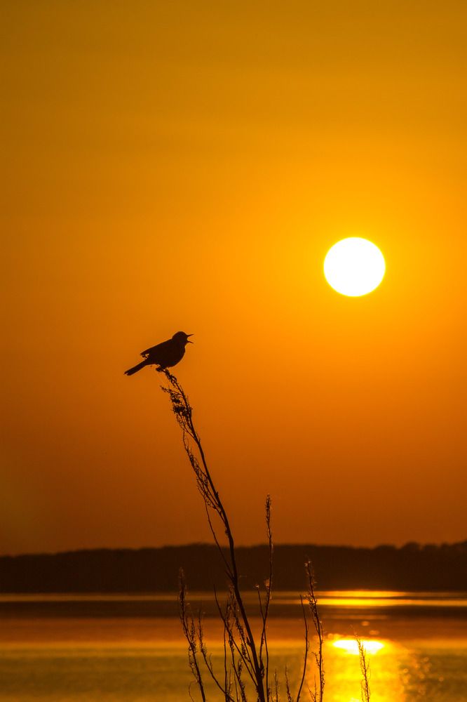 Photograph by Юрий Поповчак