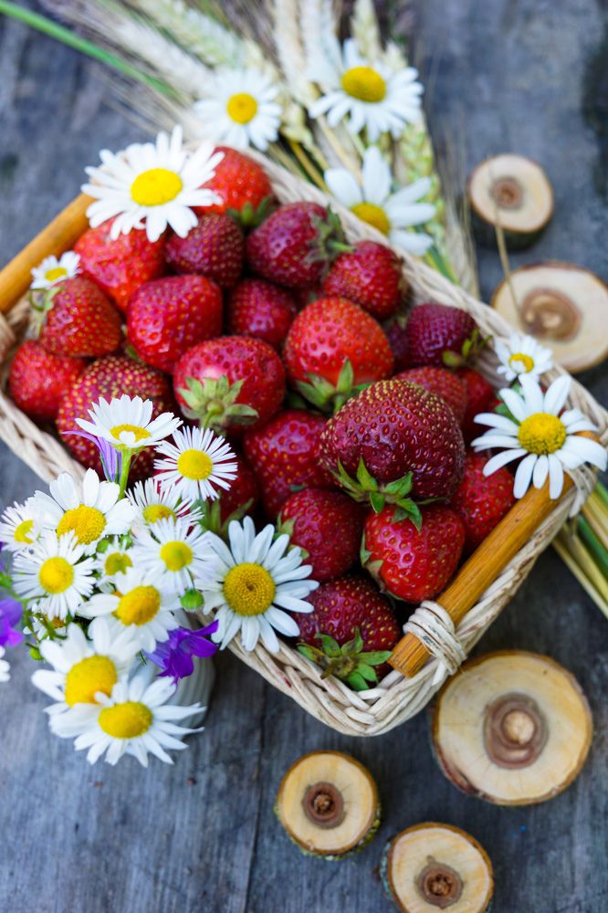 Photograph by Александр Казак