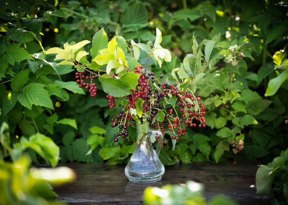 Photograph by Katerina Seneng