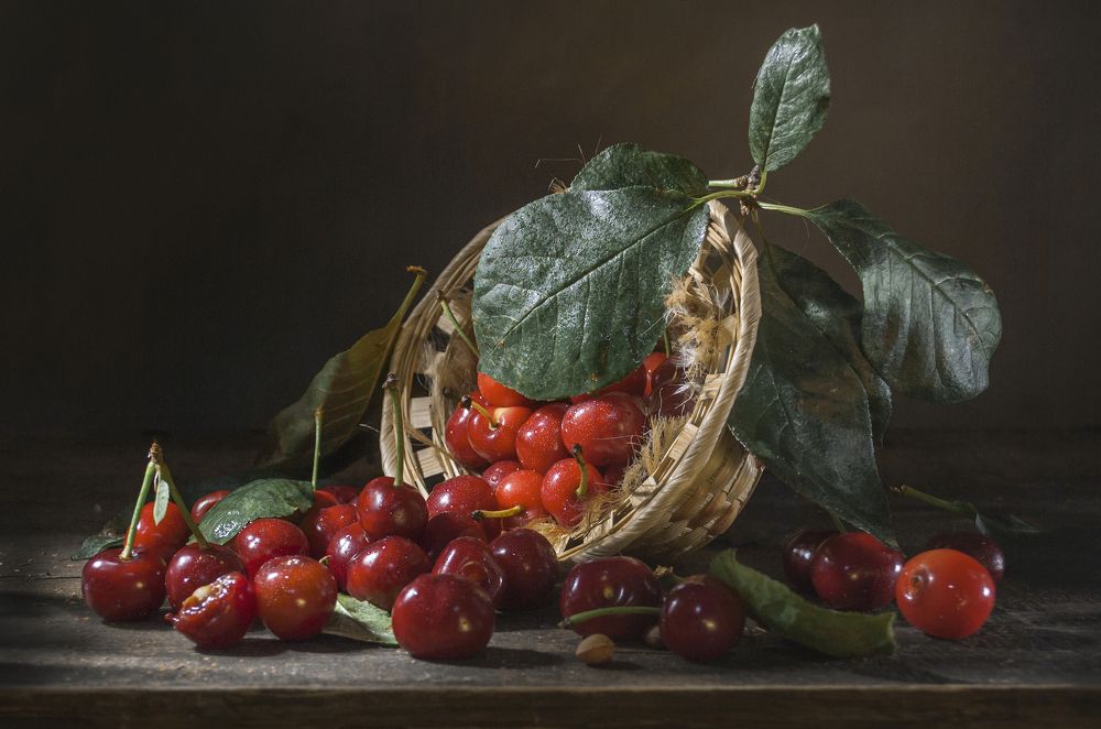 Вишнёвый день !