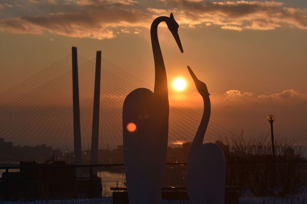 Photograph by Валентина Куцерук