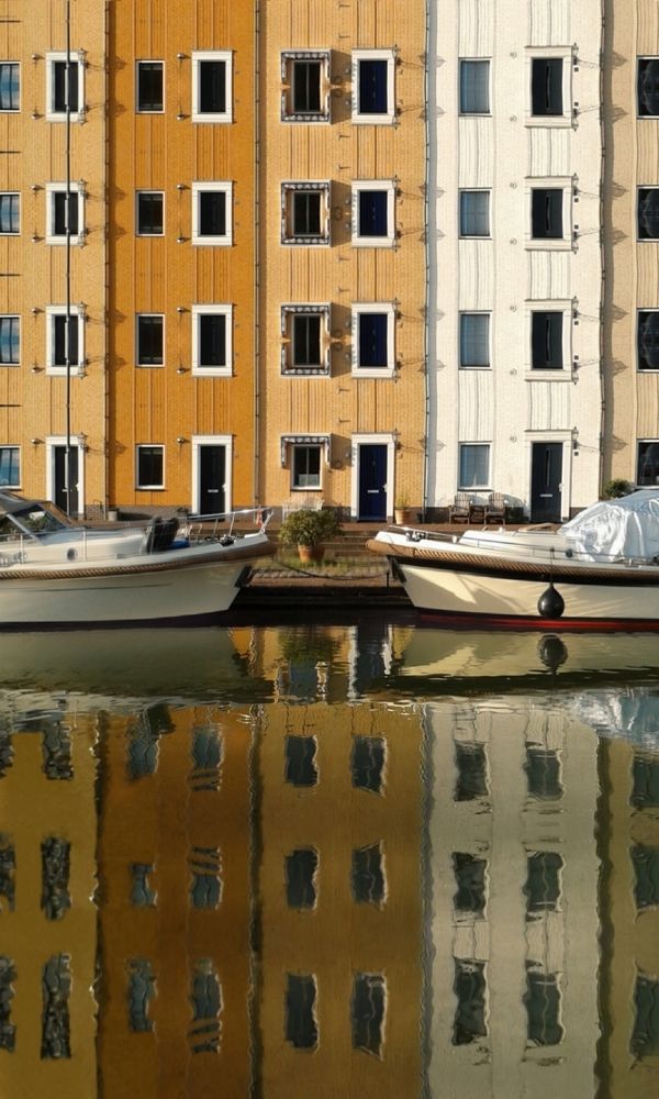 My lens and countless windows view