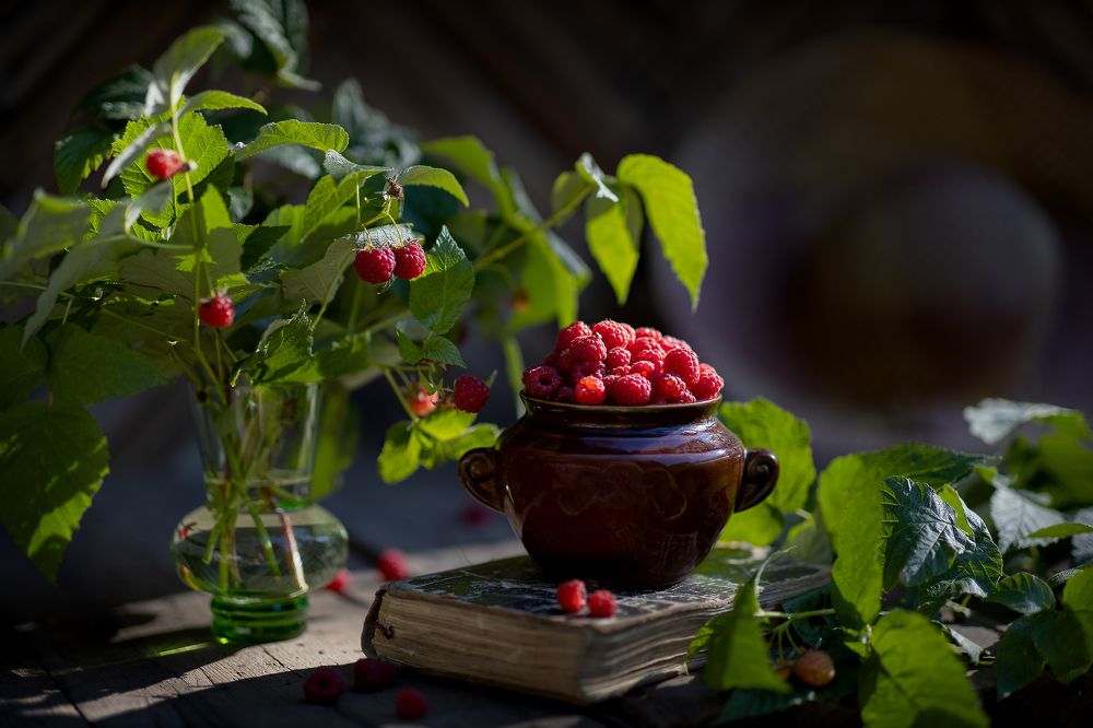 Photograph by Светлана Ерохина