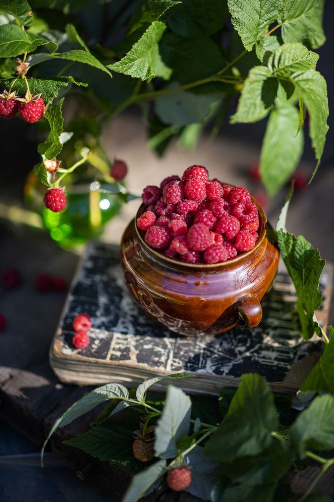 Photograph by Светлана Ерохина