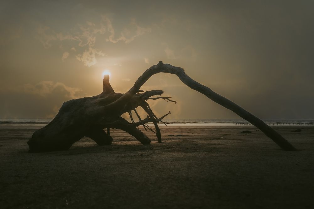 Photograph by ankur tambde