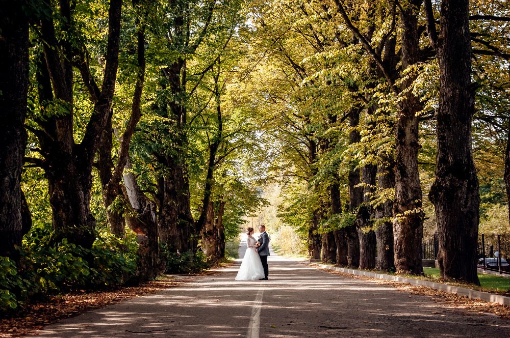 Photograph by Анастасия