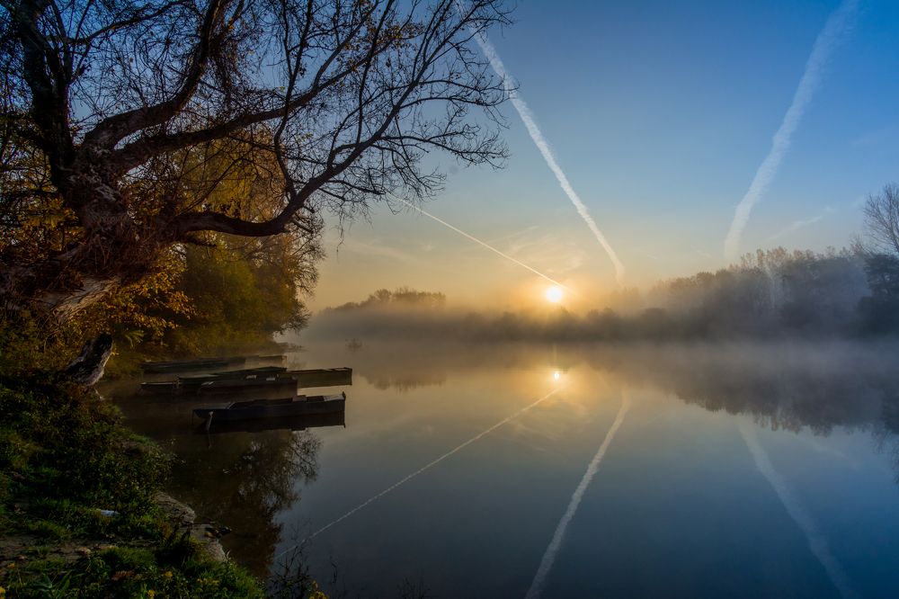 Photograph by Maja Tomić